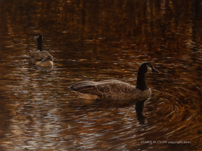 Autumn_Reflections_cp_cr_web